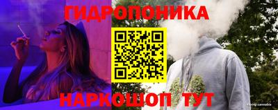 прущие грибы Донской